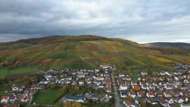Αεροφωτογραφία Των Αμπελώνων Σπίτια Γύρω Από Χωριό Horrheim Στη Γερμανία — Αρχείο Βίντεο