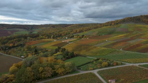 从空中俯瞰葡萄园 德国村庄周围的房屋 秋天的阴天 — 图库视频影像