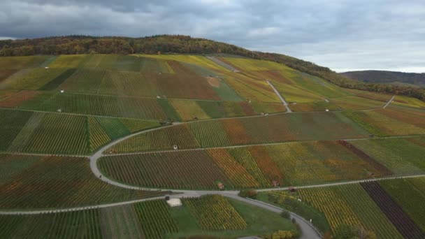 Vista Aérea Viñedos Casas Alrededor Del Pueblo Horrheim Alemania Día — Vídeo de stock