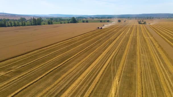 Flygfoto Över Åkrar Som Skördats Tyskland Solig Sommarmorgon — Stockvideo