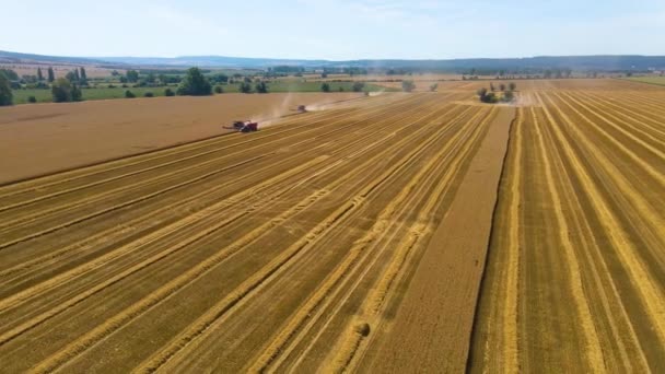 Letecký Pohled Zemědělská Pole Sklízená Německu Slunečného Letního Rána — Stock video