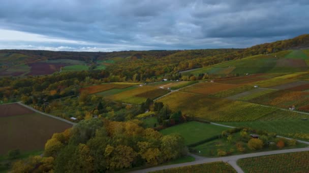 Veduta Aerea Dei Vigneti Autunnali Una Giornata Nuvolosa Nel Sud — Video Stock