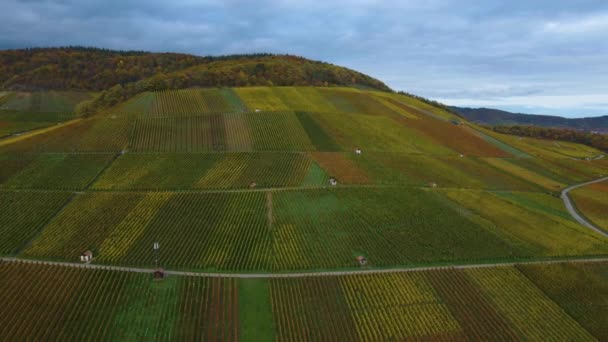 德国南部多云天气下秋天葡萄园的空中景观 — 图库视频影像