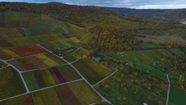 Αεροφωτογραφία Των Φθινοπωρινών Αμπελώνων Μια Συννεφιασμένη Μέρα Στη Νότια Γερμανία — Αρχείο Βίντεο
