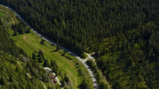 Veduta Aerea Intorno Alla Foresta Nera Una Giornata Sole Con — Video Stock