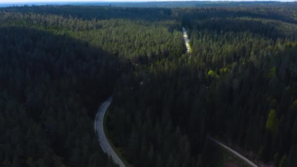 Vista Aérea Alrededor Del Bosque Negro Día Soleado Con Nubes — Vídeos de Stock