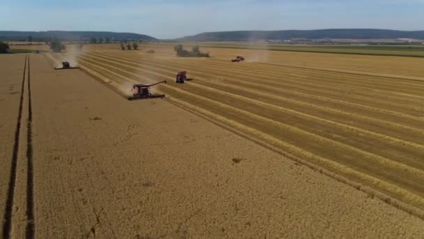 Várias Máquinas Harvester Dirigindo Através Campo Final Verão — Vídeo de Stock