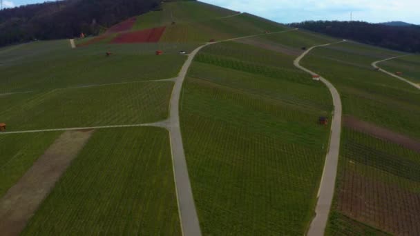 Légi Kilátás Szőlőültetvények Körül Város Grobottwar Németországban Egy Késő Napos — Stock videók