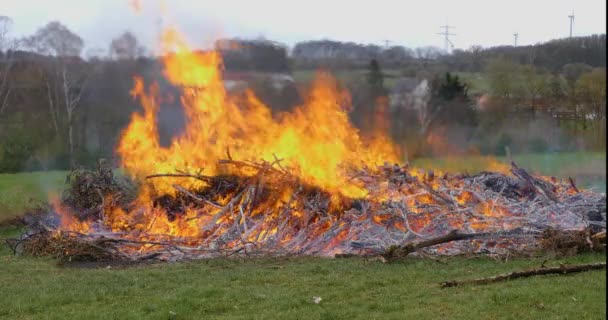 들판에서 모닥불을 — 비디오