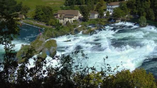Sluiten Van Rijnwatervallen Waterval Zwitserland Een Zonnige Dag Zomer — Stockvideo