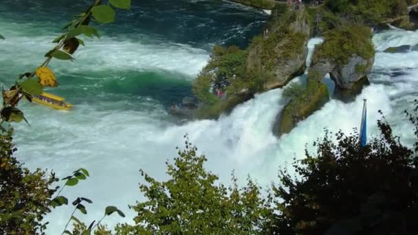 Κοντινό Πλάνο Του Ρήνου Falls Καταρράκτη Στην Ελβετία Μια Ηλιόλουστη — Αρχείο Βίντεο