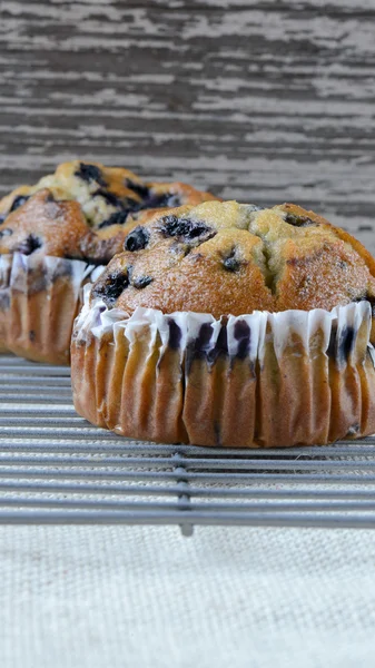 Fresh Blueberry Muffins on Rustic Burlap — Stock Photo, Image