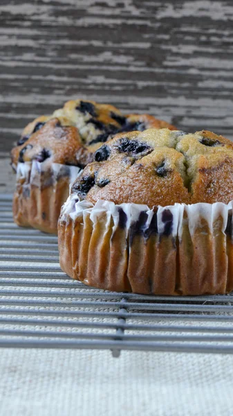 Muffins aux bleuets frais sur toile de jute rustique — Photo