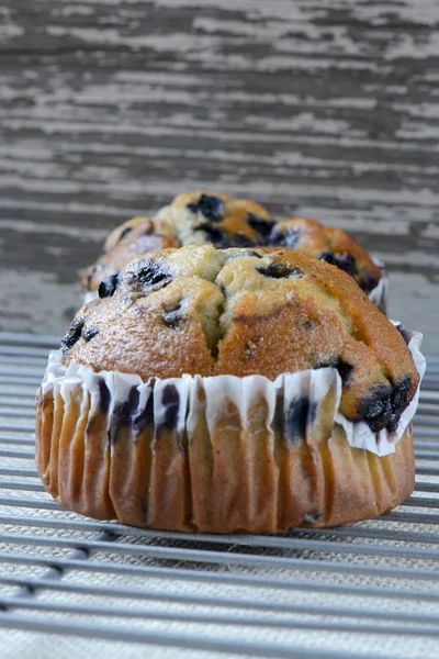 Muffins de mirtilo frescos na serapilheira rústica — Fotografia de Stock