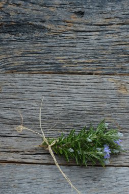 Rosemarie ahşap arka plan üzerinde