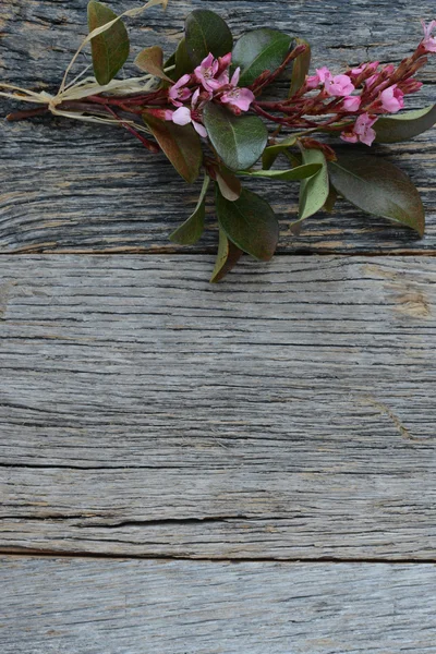 Flores em fundo de madeira — Fotografia de Stock