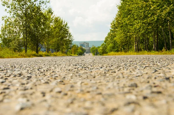 ormanda yol