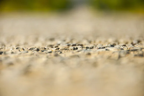 Road, ormanda iz
