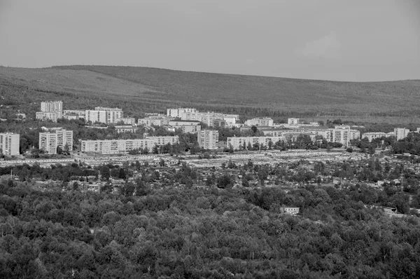 Şehir içinde orman, siyah beyaz fotoğraf
