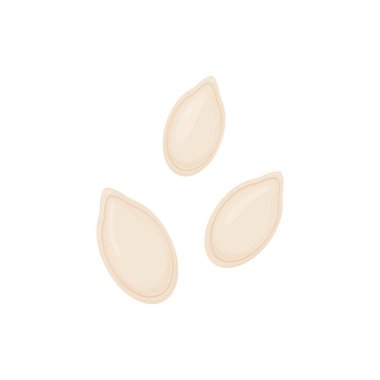 Balkabağı çekirdeği. Beyaz arkaplanda yalıtılmış sebze tohumları.