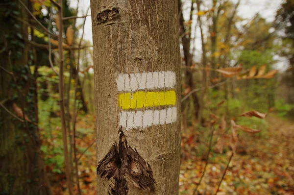 Ormanda yürüyüş işareti..