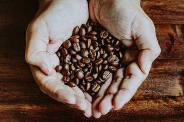 Kalbin elindeki kahve çekirdekleri ahşap masa şeklinde koyu renk ve klasik.