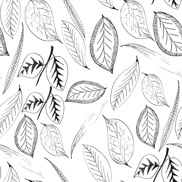 Seamless pattern with leaves plants — Stock Photo, Image