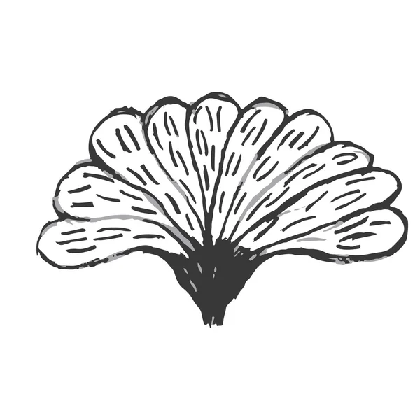 Belas flores desenhadas à mão preto e branco em um fundo branco — Vetor de Stock