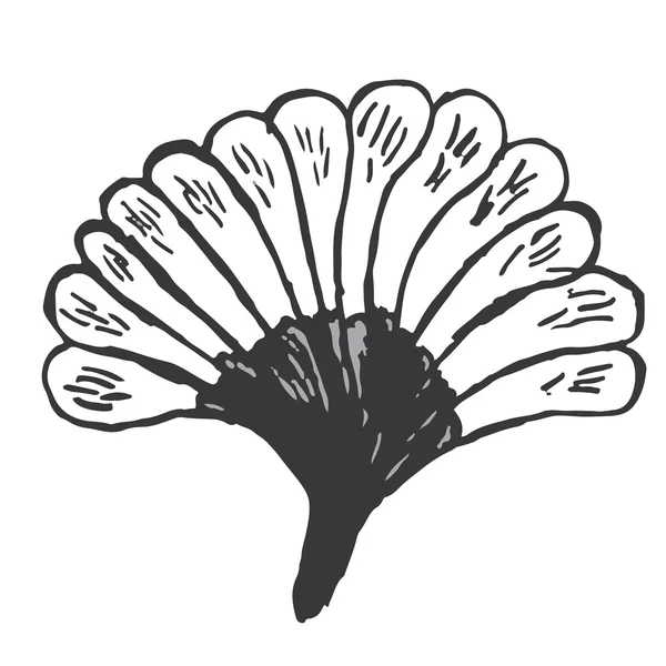 Beautiful black and white hand-drawn flowers on a white background — Stock Photo, Image