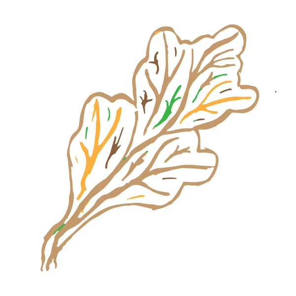 Schöne farbige handgezeichnete Blätter auf weißem Hintergrund — Stockfoto