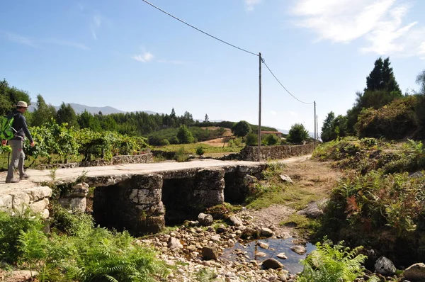 Brücke Den Bergen Norden Portugals — Stockfoto