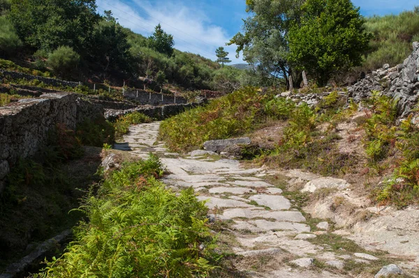 Oude Romeinse Weg Het Noorden Van Portugal Stockfoto