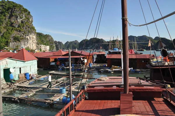 Σκάφος Κοντά Ένα Πλωτό Χωριό Στο Long Bay Βιετνάμ — Φωτογραφία Αρχείου