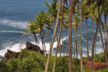Mirissa, Sri Lanka yakınlarındaki sahil şeridi..