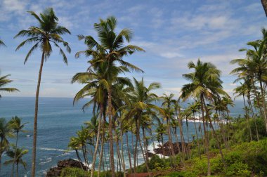 Mirissa, Sri Lanka yakınlarındaki sahil şeridi..