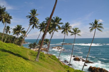 Mirissa, Sri Lanka yakınlarındaki sahil şeridi..