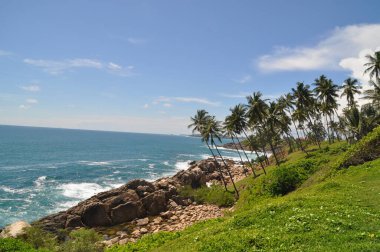 Mirissa, Sri Lanka yakınlarındaki sahil şeridi..