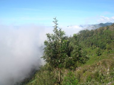 Ella ve Sri Lanka şehrine bakın..