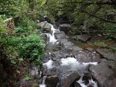 Ella yakınlarındaki Şelale, Sri Lanka.