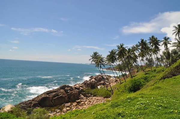 Ligne Côtière Près Ville Mirissa Sri Lanka — Photo