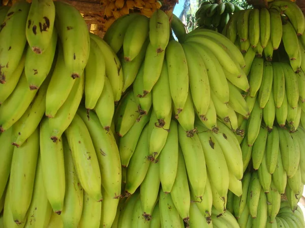 Bananas Uma Cabana Frutas Vegetais Sri Lanka — Fotografia de Stock