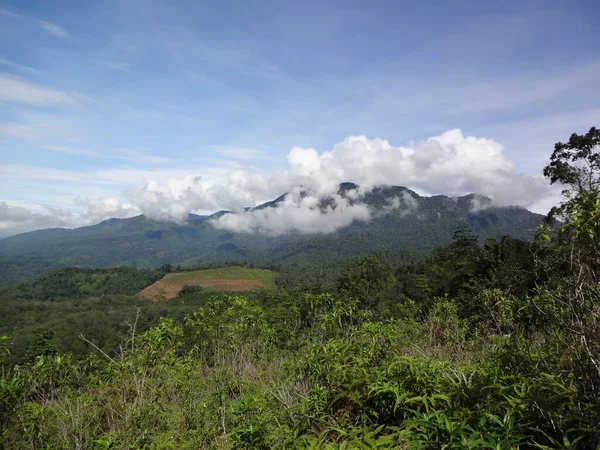 Blick Vom Ella Rock Sri Lanka — Stockfoto