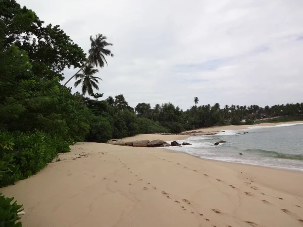 Praia Dourada Perto Cidade Mirissa Sri Lanka — Fotografia de Stock
