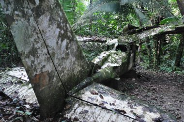 Belize ormanında bir uçak enkazı..