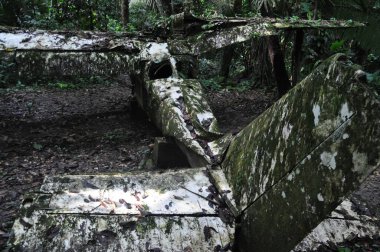 Belize ormanında bir uçak enkazı..