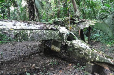 Belize ormanında bir uçak enkazı..