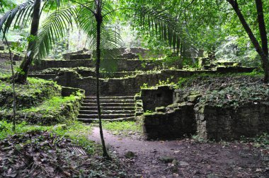 Palenque, Meksika 'daki eski Maya şehrindeki tapınak..
