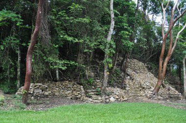 Palenque, Meksika 'daki eski Maya şehrindeki tapınak.