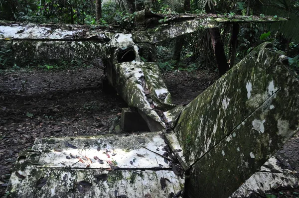 Belize ormanında bir uçak enkazı..