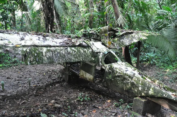 Belize ormanında bir uçak enkazı..